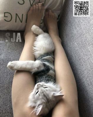 《妈妈的朋友》电影_720高清完整版播放