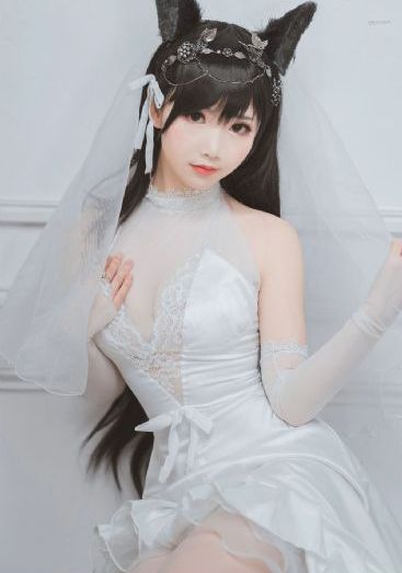 圣母在上_DVD免费电视剧