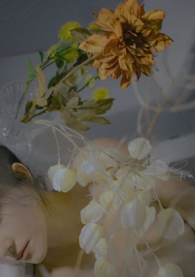 挣扎吧亚当君第二季在线观看_BD英语高清在线观看